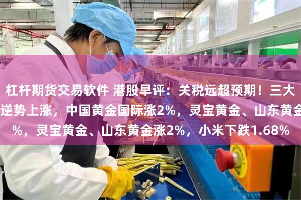 杠杆期货交易软件 港股早评：关税远超预期！三大指数大幅低开，黄金股逆势上涨，中国黄金国际涨2%，灵宝黄金、山东黄金涨2%，小米下跌1.68%