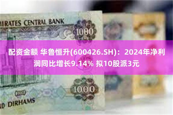 配资金额 华鲁恒升(600426.SH)：2024年净利润同比增长9.14% 拟10股派3元