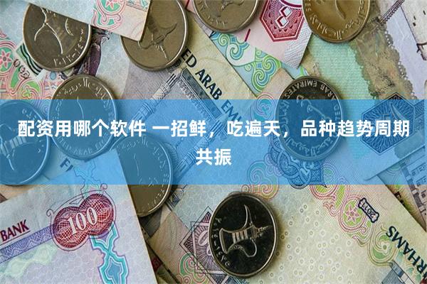 配资用哪个软件 一招鲜，吃遍天，品种趋势周期共振