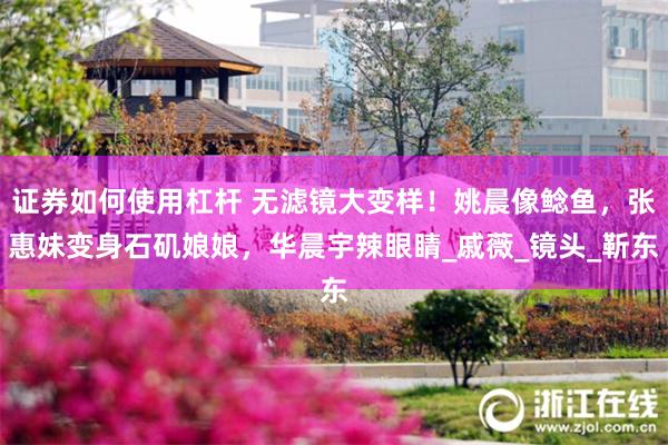 证券如何使用杠杆 无滤镜大变样！姚晨像鲶鱼，张惠妹变身石矶娘娘，华晨宇辣眼睛_戚薇_镜头_靳东