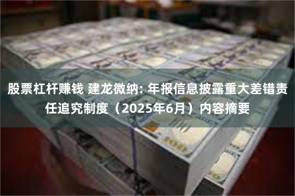 股票杠杆赚钱 建龙微纳: 年报信息披露重大差错责任追究制度（2025年6月）内容摘要