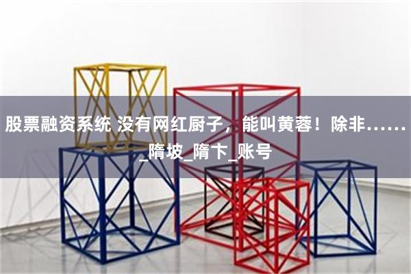 股票融资系统 没有网红厨子，能叫黄蓉！除非……_隋坡_隋卞_账号