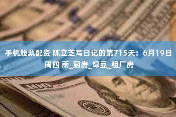 手机股票配资 陈立芝写日记的第715天：6月19日 周四 雨_厨房_绿豆_租厂房
