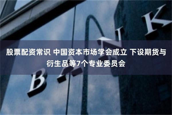 股票配资常识 中国资本市场学会成立 下设期货与衍生品等7个专业委员会