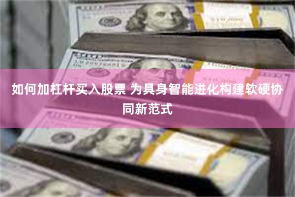 如何加杠杆买入股票 为具身智能进化构建软硬协同新范式