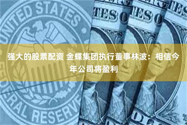 强大的股票配资 金蝶集团执行董事林波：相信今年公司将盈利