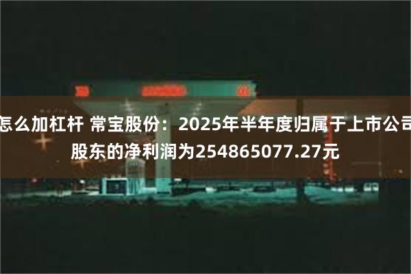 怎么加杠杆 常宝股份：2025年半年度归属于上市公司股东的净利润为254865077.27元