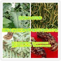 陜西大田生物 專(zhuān)注高品質(zhì)秋水仙堿提取物，廠家直銷(xiāo)，全國(guó)包郵