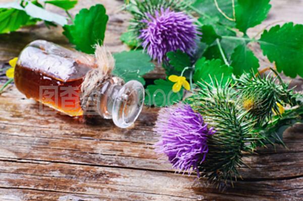 花卉與牛羚提取物 自然饋贈(zèng)的植物精華及其應(yīng)用探析